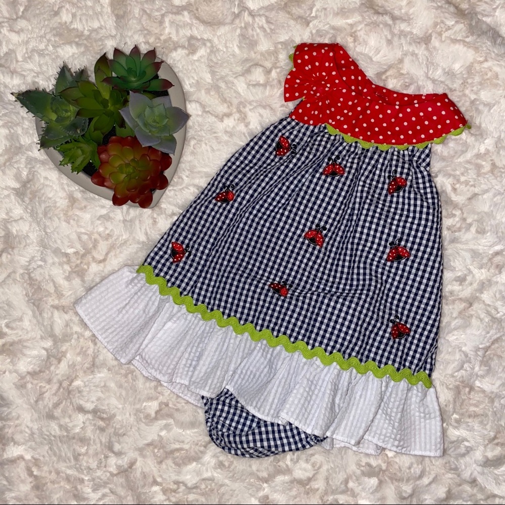 NWT Rare Editions Seersucker Gingham w/Ladybugs